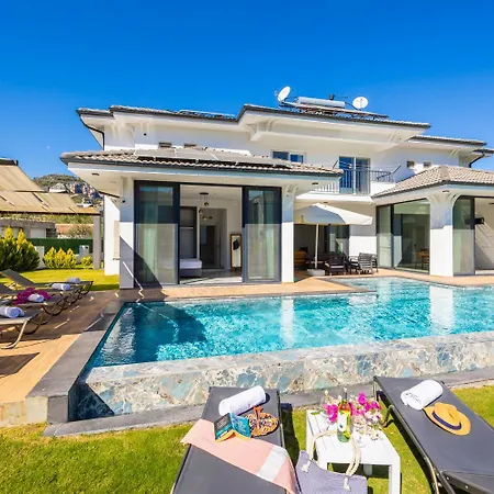 White Cloud 달리안